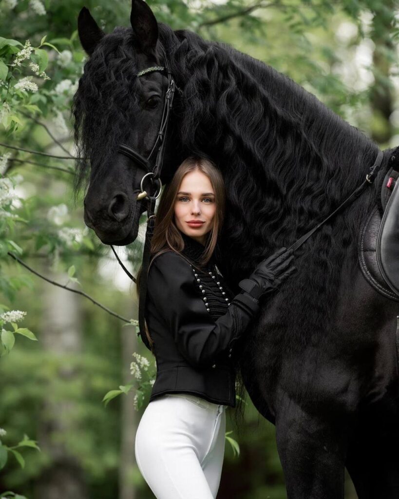 Элитная девушка Доминика Горловой + Drive Models